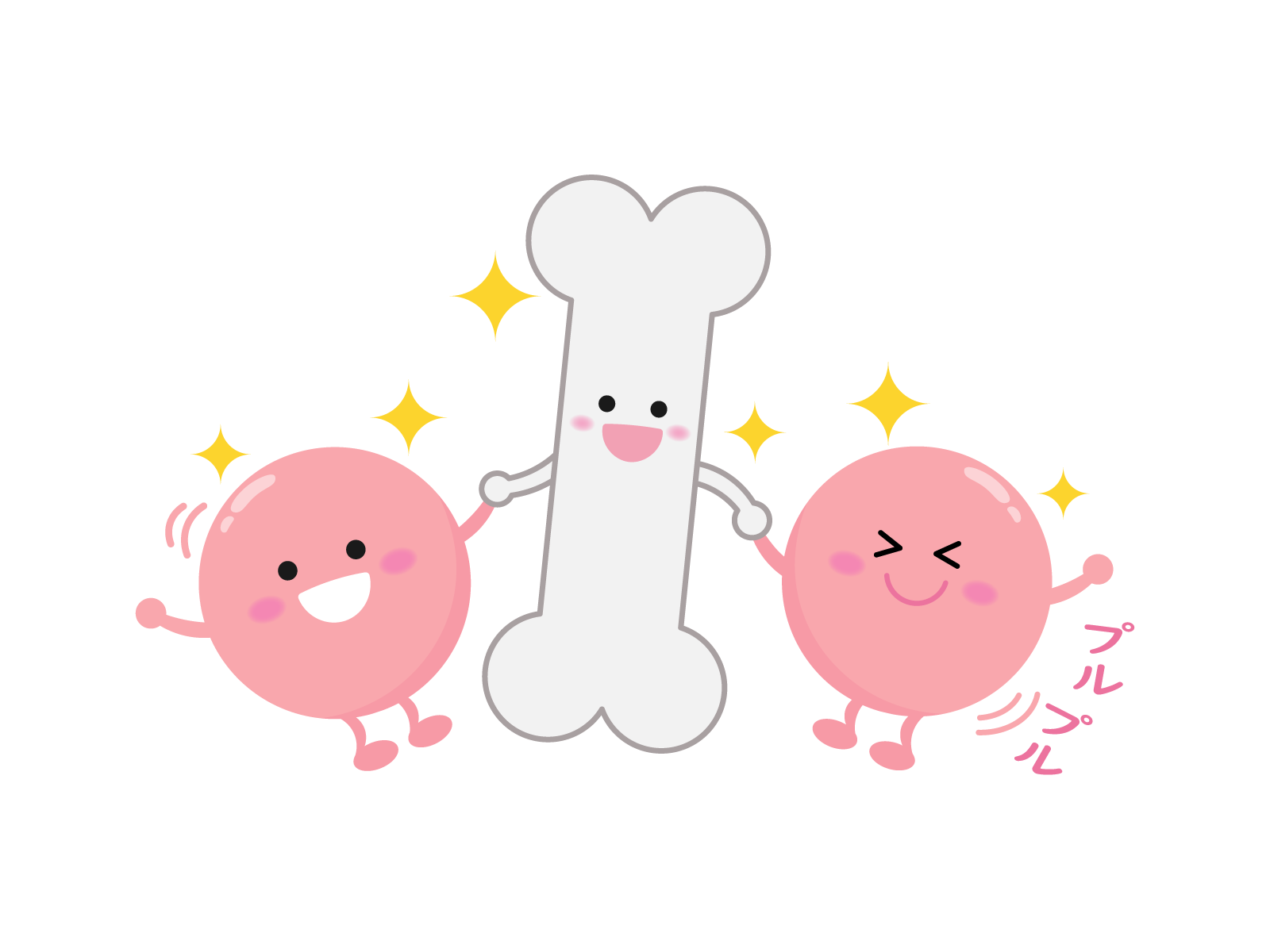 骨とコラーゲン