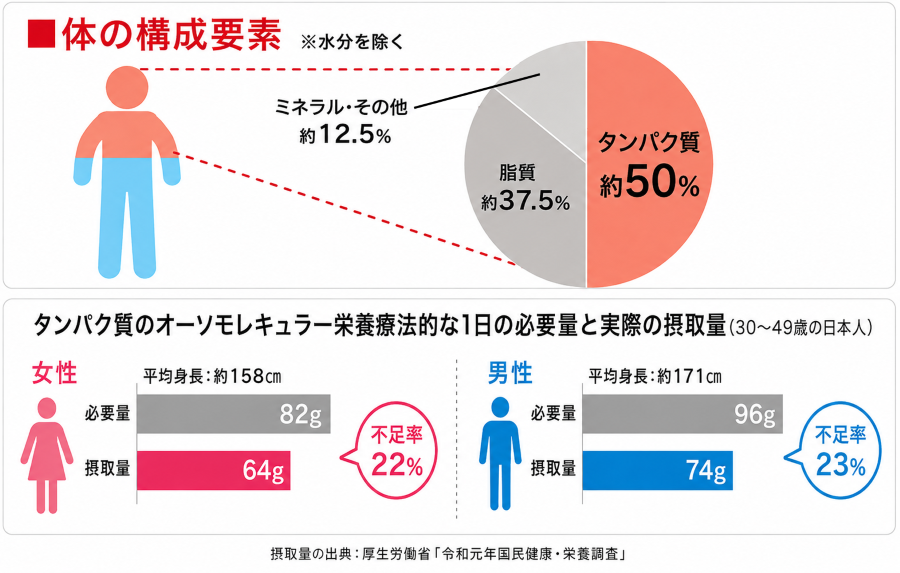 体の構成要素