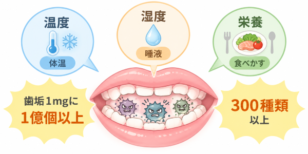 お口の中は過酷な環境