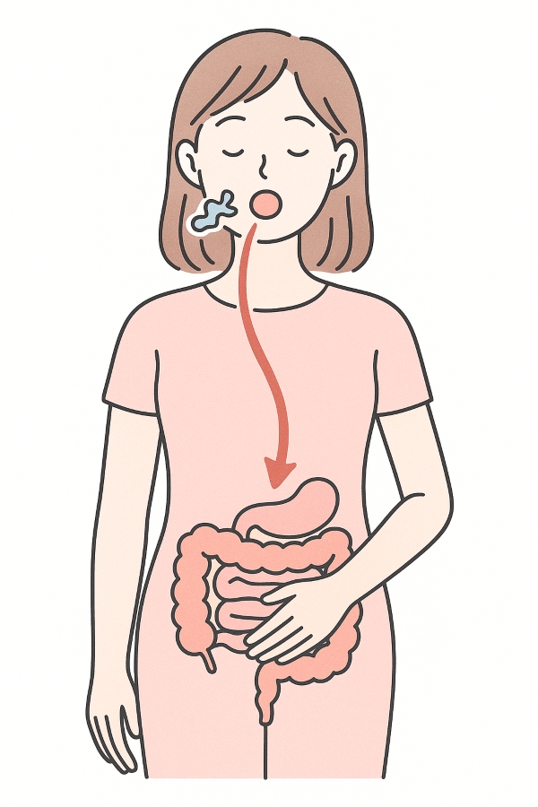 口と腸がつながっていることを示す人体イラスト