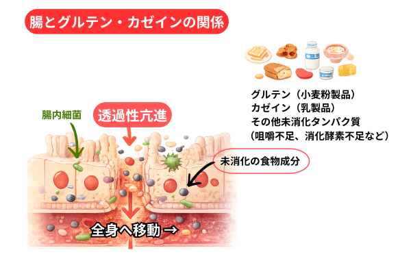 カゼインとグルテン