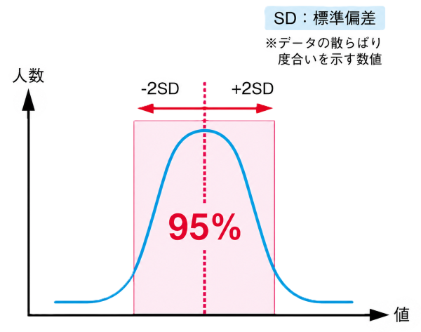 体重だけではなく全身のバランス